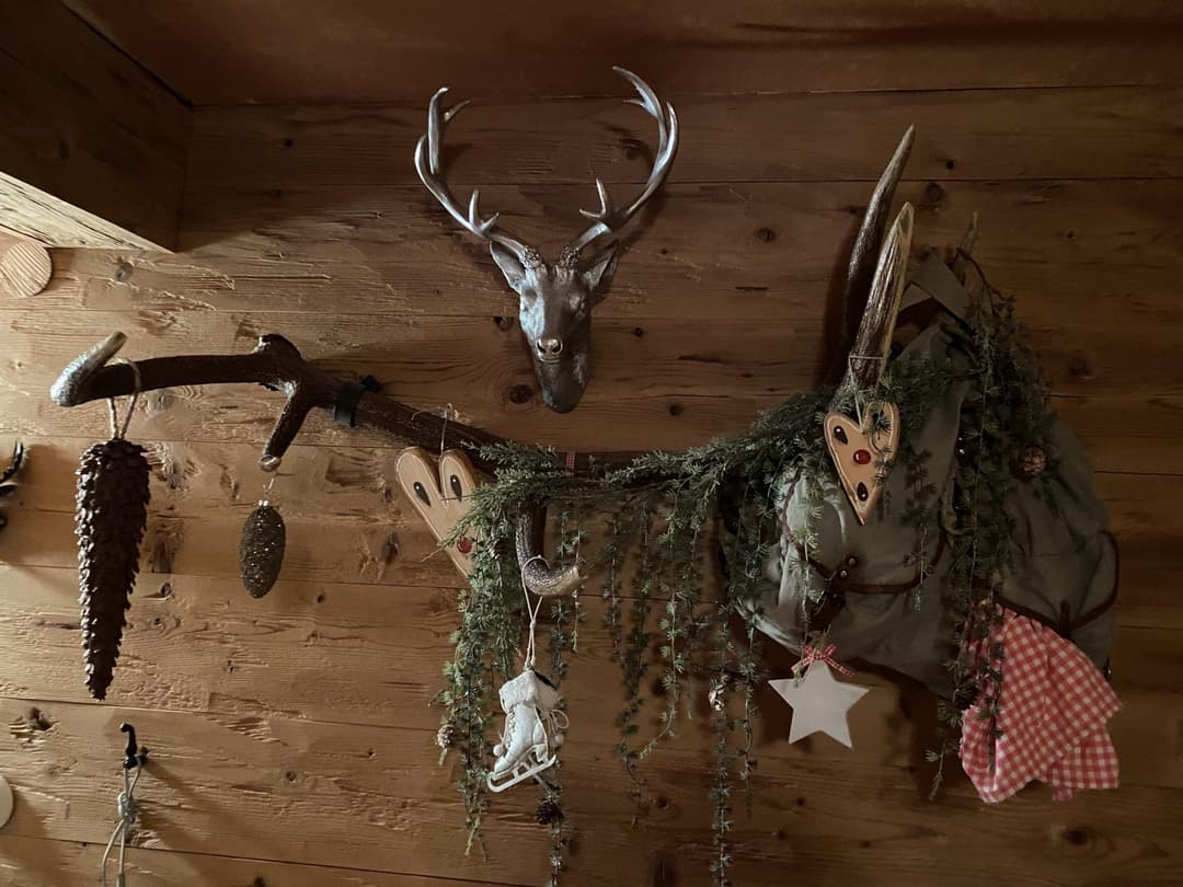 Hirschgeweih an Holzwand