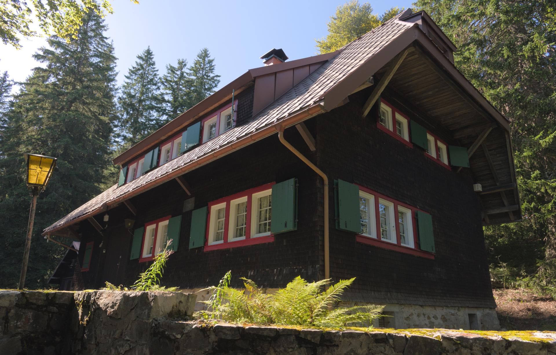 Frontansicht der Holzhütte im Sommer umgeben von Mischwald