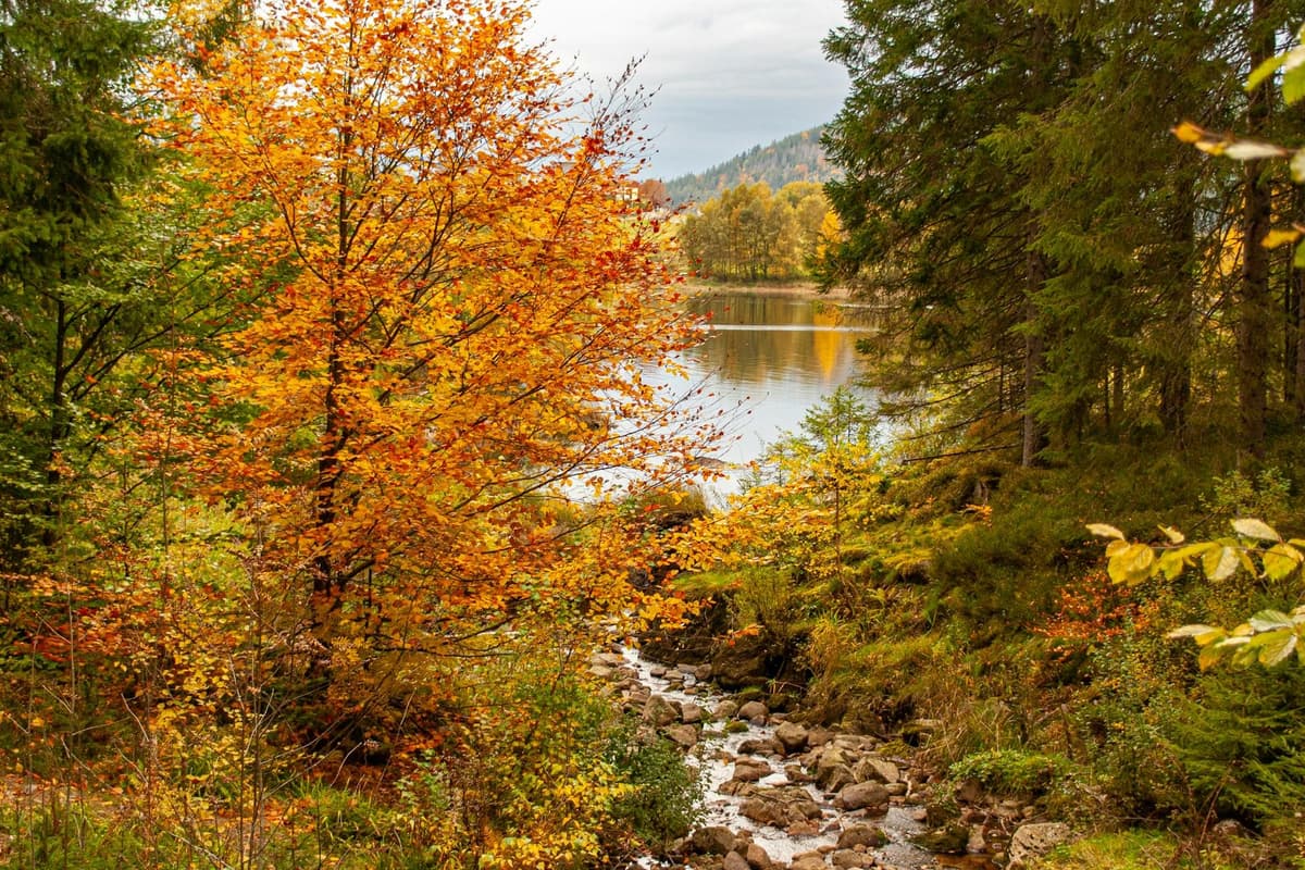 Kleiner See mit Bachlauf in herbstlich-bunter Landschaft